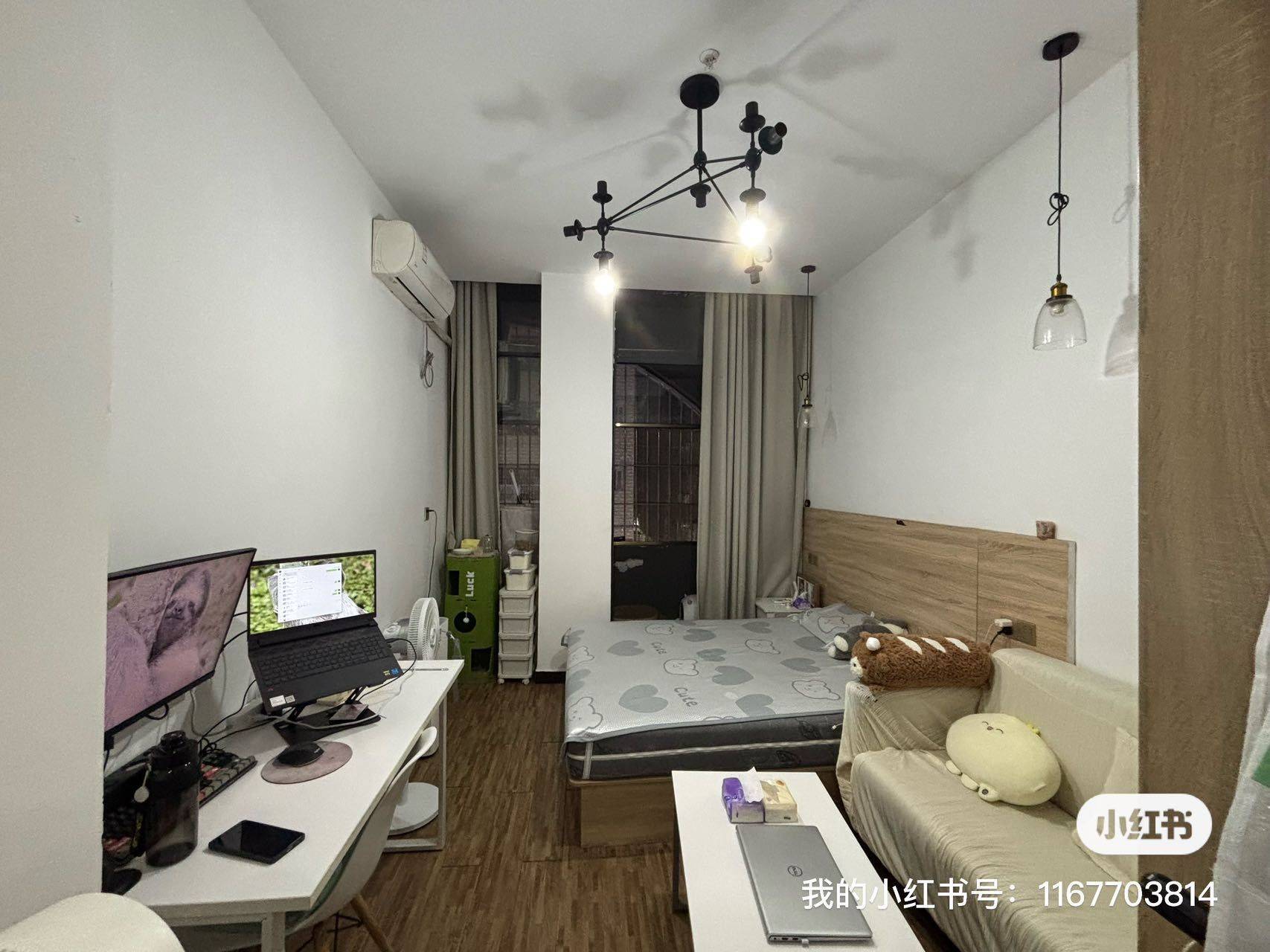 Shenzhen-Longhua-Cozy Home,Clean&Comfy,No Gender Limit,Hustle & Bustle,Pet Friendly