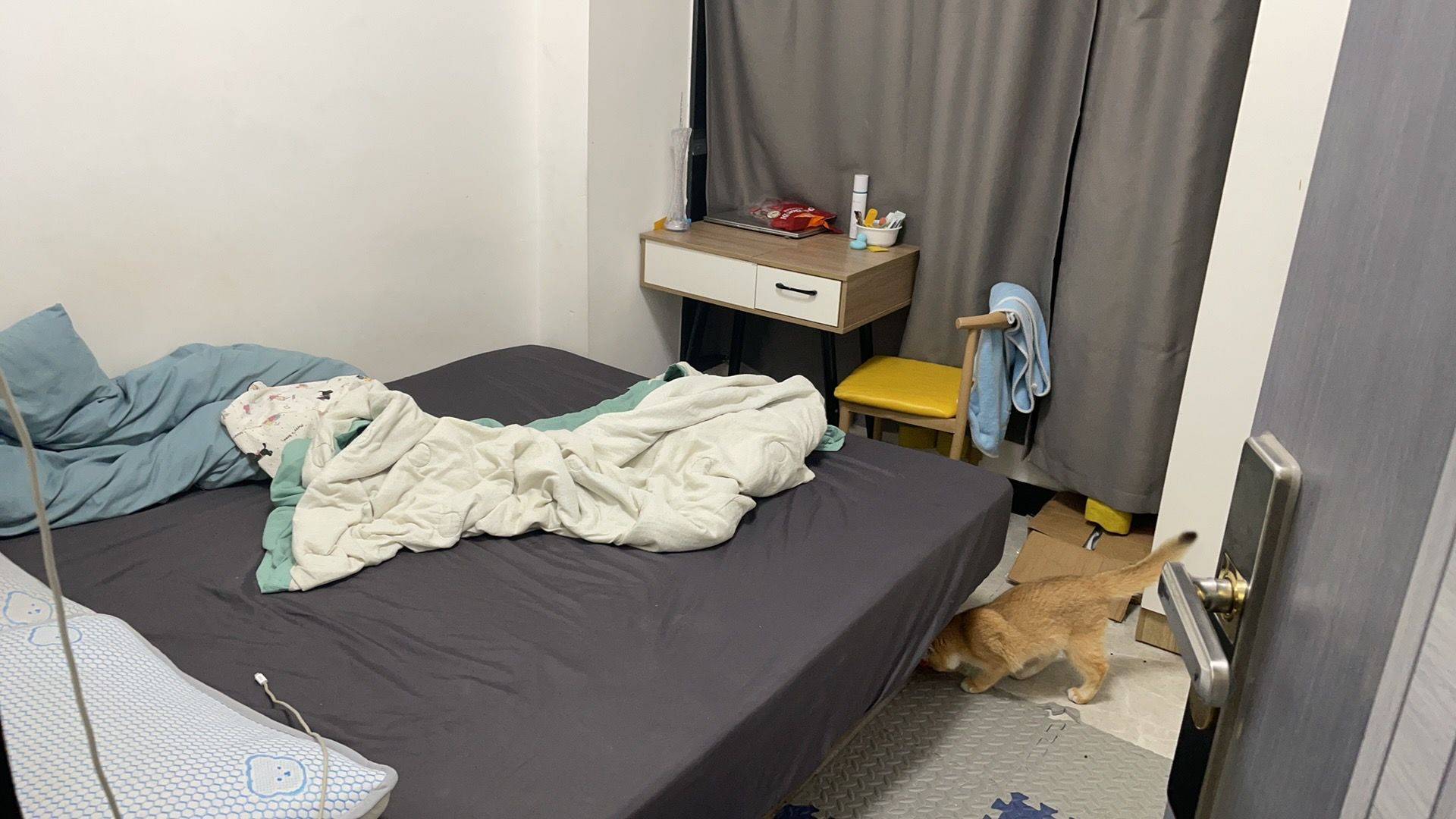 广州-白云-温馨小窝,干净治愈