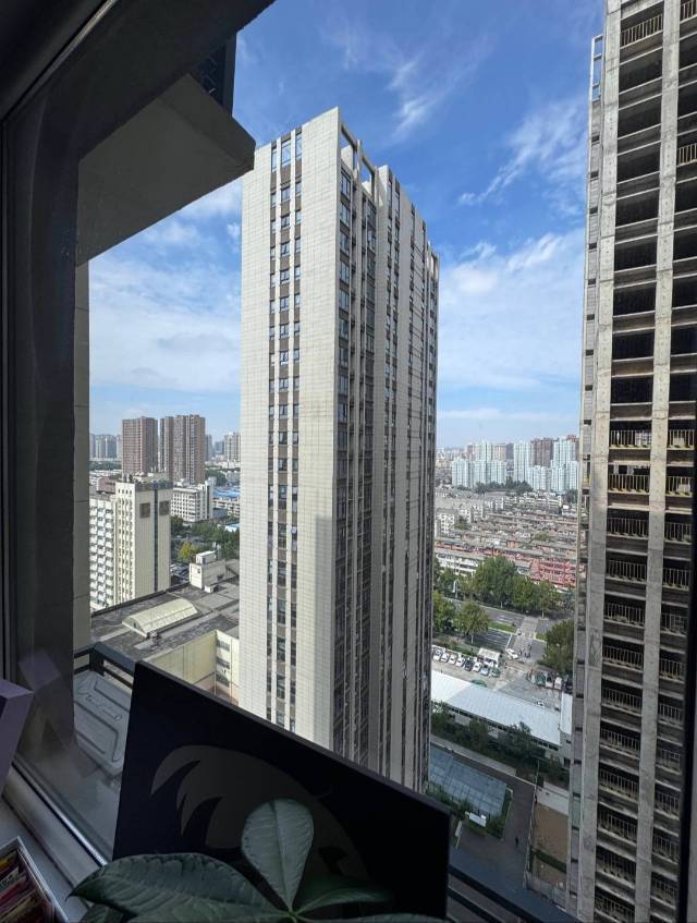 郑州-二七-溫馨小窩,乾淨治愈,不限性別,市井煙火氣,老友記,慢時光,LGBTQ友好,寵物友好