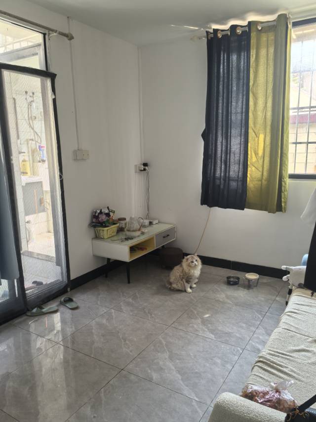 Guangzhou-Tianhe-Cozy Home,Clean&Comfy,No Gender Limit,Pet Friendly