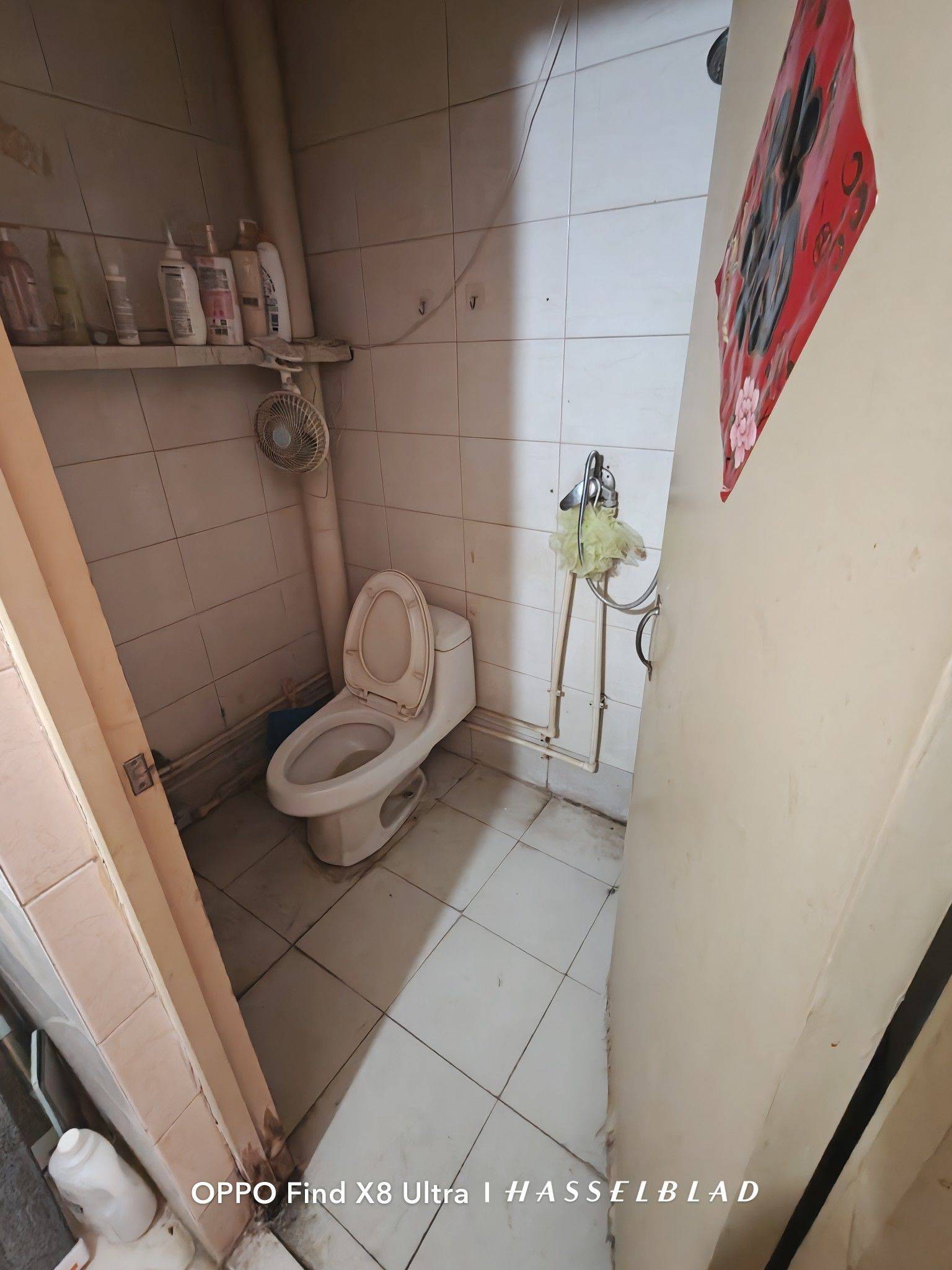 Beijing-Daxing-Cozy Home,Clean&Comfy,Hustle & Bustle,Chilled,LGBTQ Friendly