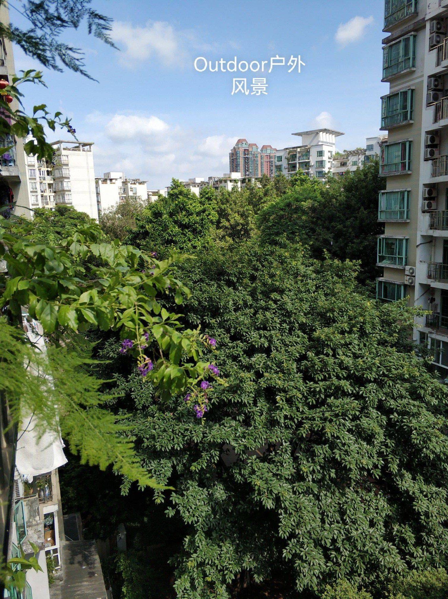 光大花园B区三房两卫整租房源3