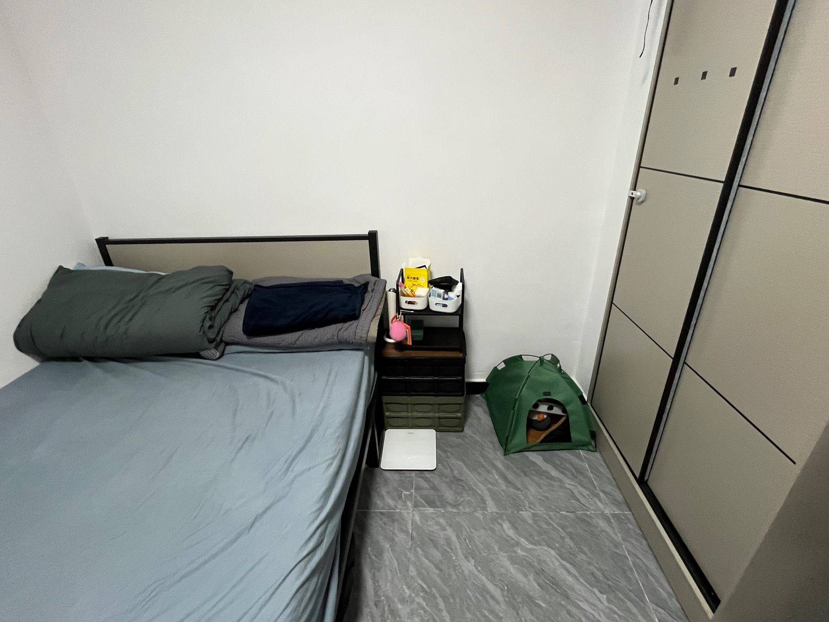 Shenzhen-Longhua-Clean&Comfy,Pet Friendly