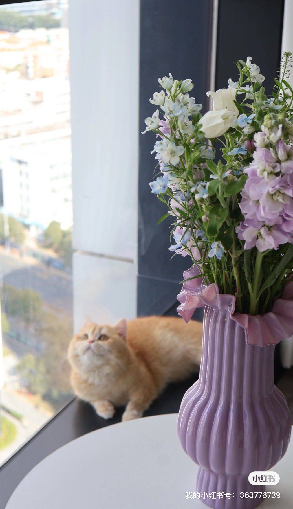 Shenzhen-Nanshan-Cozy Home,Clean&Comfy,No Gender Limit,Chilled,Pet Friendly