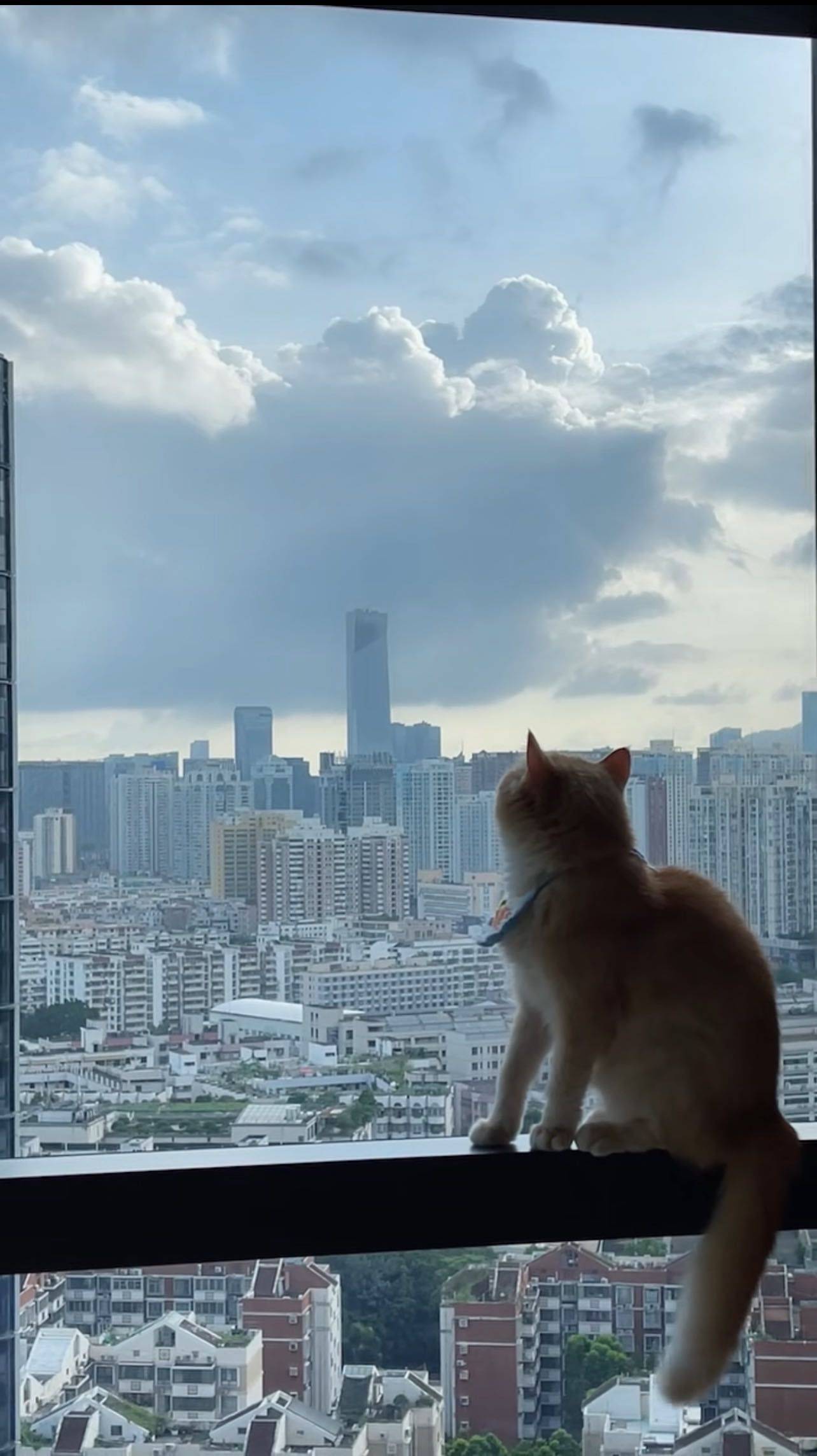Shenzhen-Nanshan-Cozy Home,Clean&Comfy,No Gender Limit,Chilled,Pet Friendly