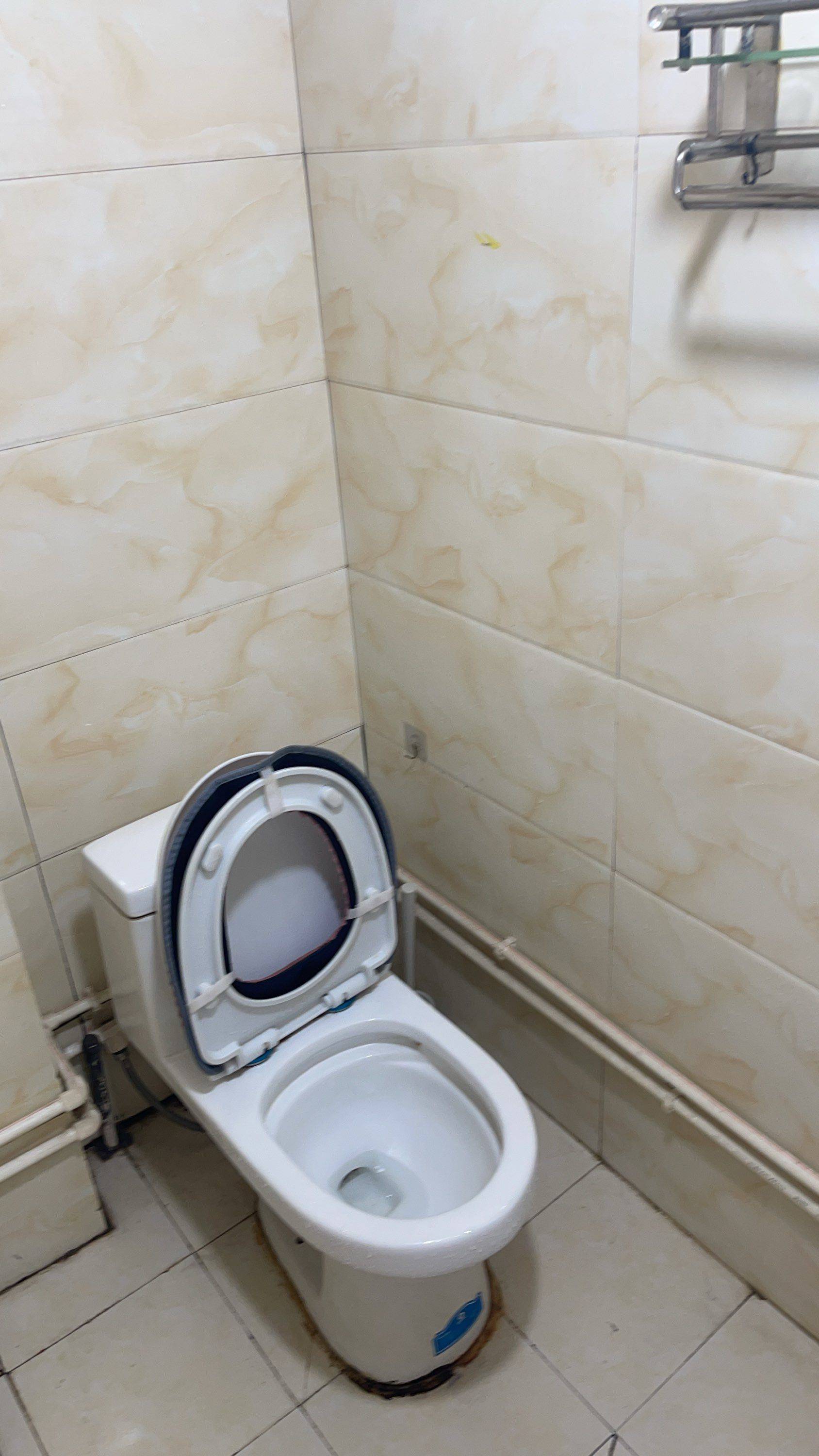 西安-未央-溫馨小窩,乾淨治愈,不限性別,市井煙火氣,老友記,慢時光,LGBTQ友好,寵物友好