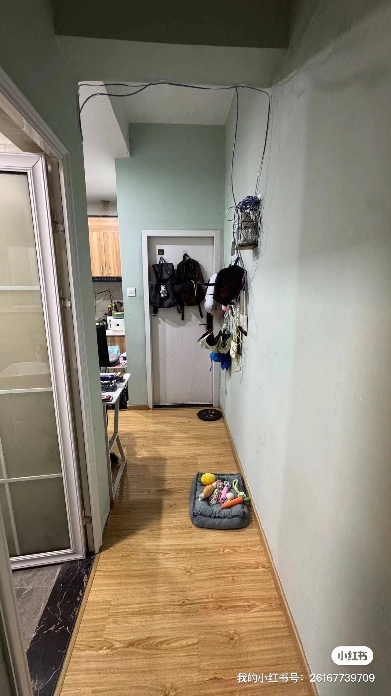 Shenzhen-Futian-Cozy Home