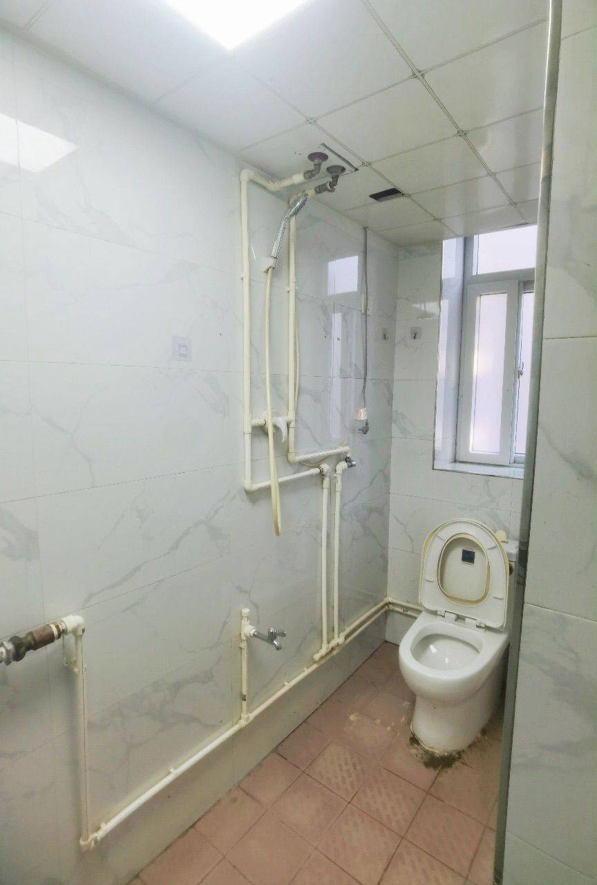 石家庄-橋西-不限性別