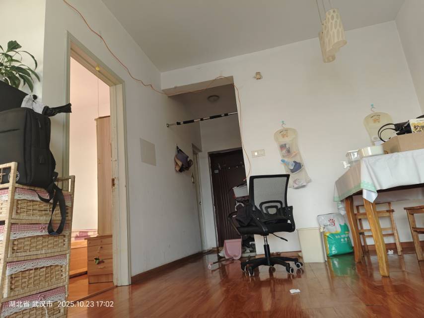 武汉-洪山-温馨小窝,不限性别,市井烟火气,宠物友好