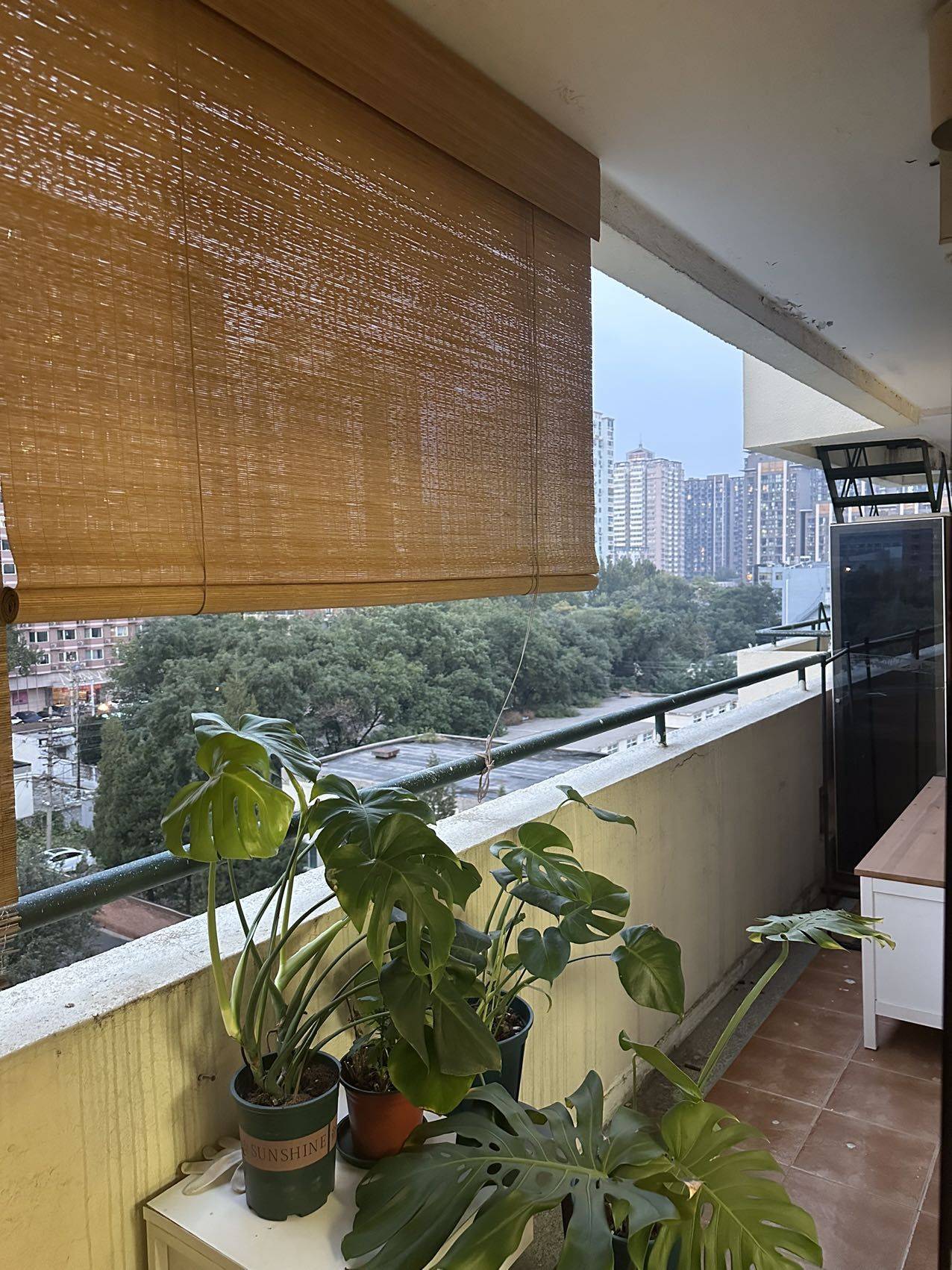 北京-朝阳-300RMB/晚,慢时光,宠物友好