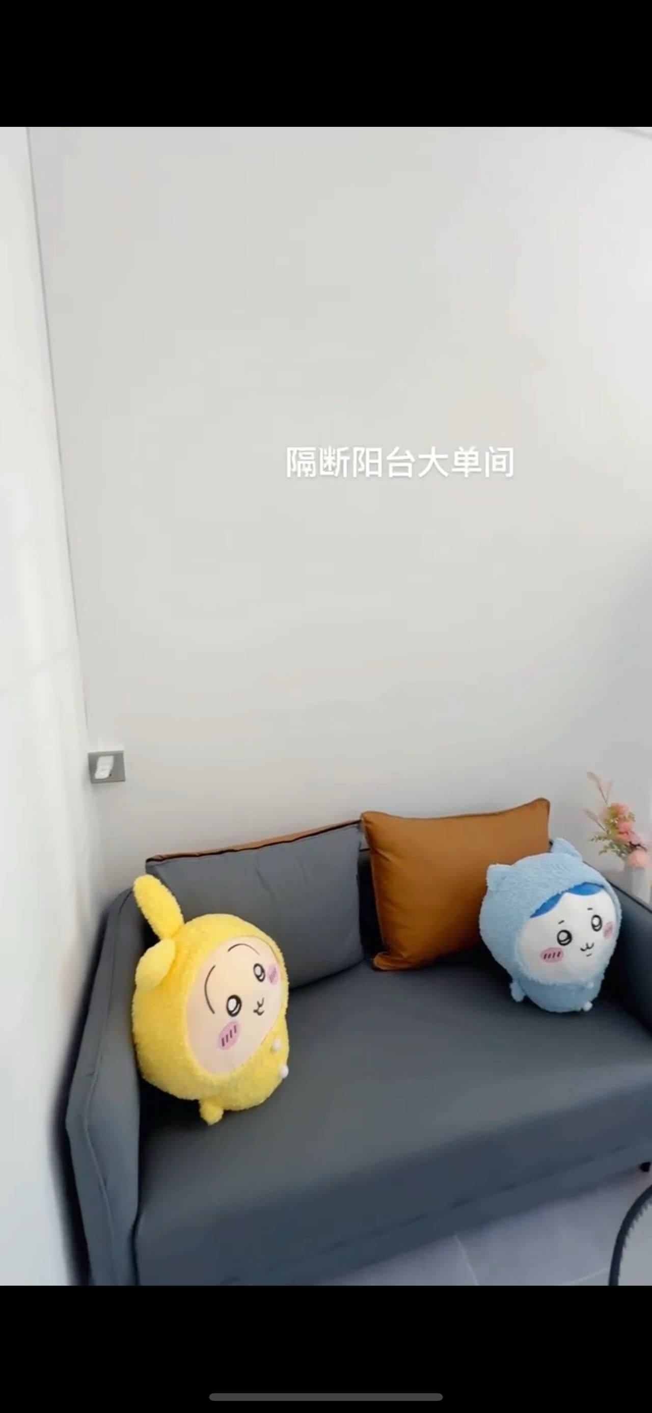 深圳-龍華-62RMB/晚,溫馨小窩,乾淨治愈,寵物友好