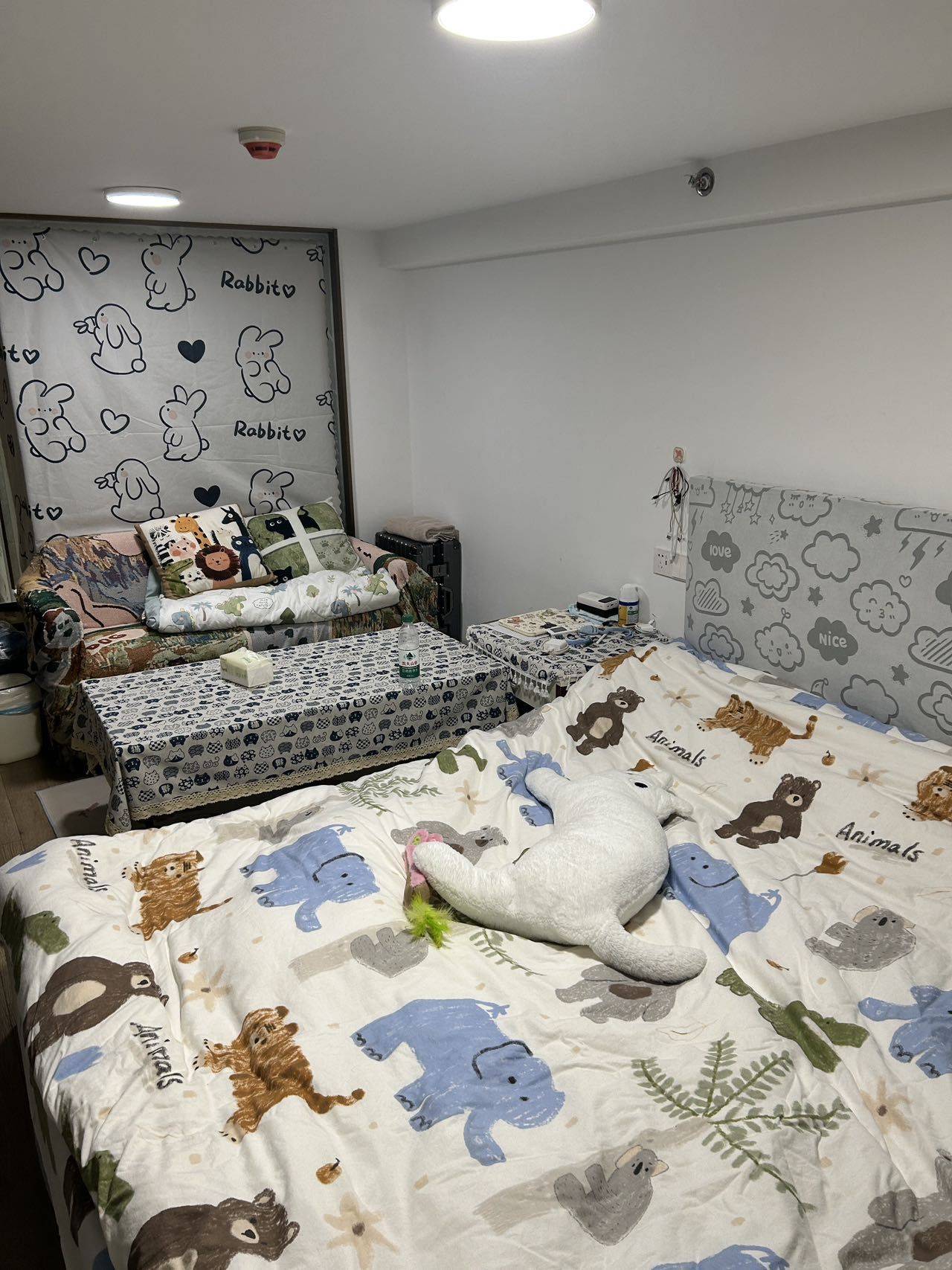 Hangzhou-Xiaoshan-Cozy Home,Clean&Comfy,No Gender Limit,Hustle & Bustle,“Friends”,Chilled,LGBTQ Friendly,Pet Friendly