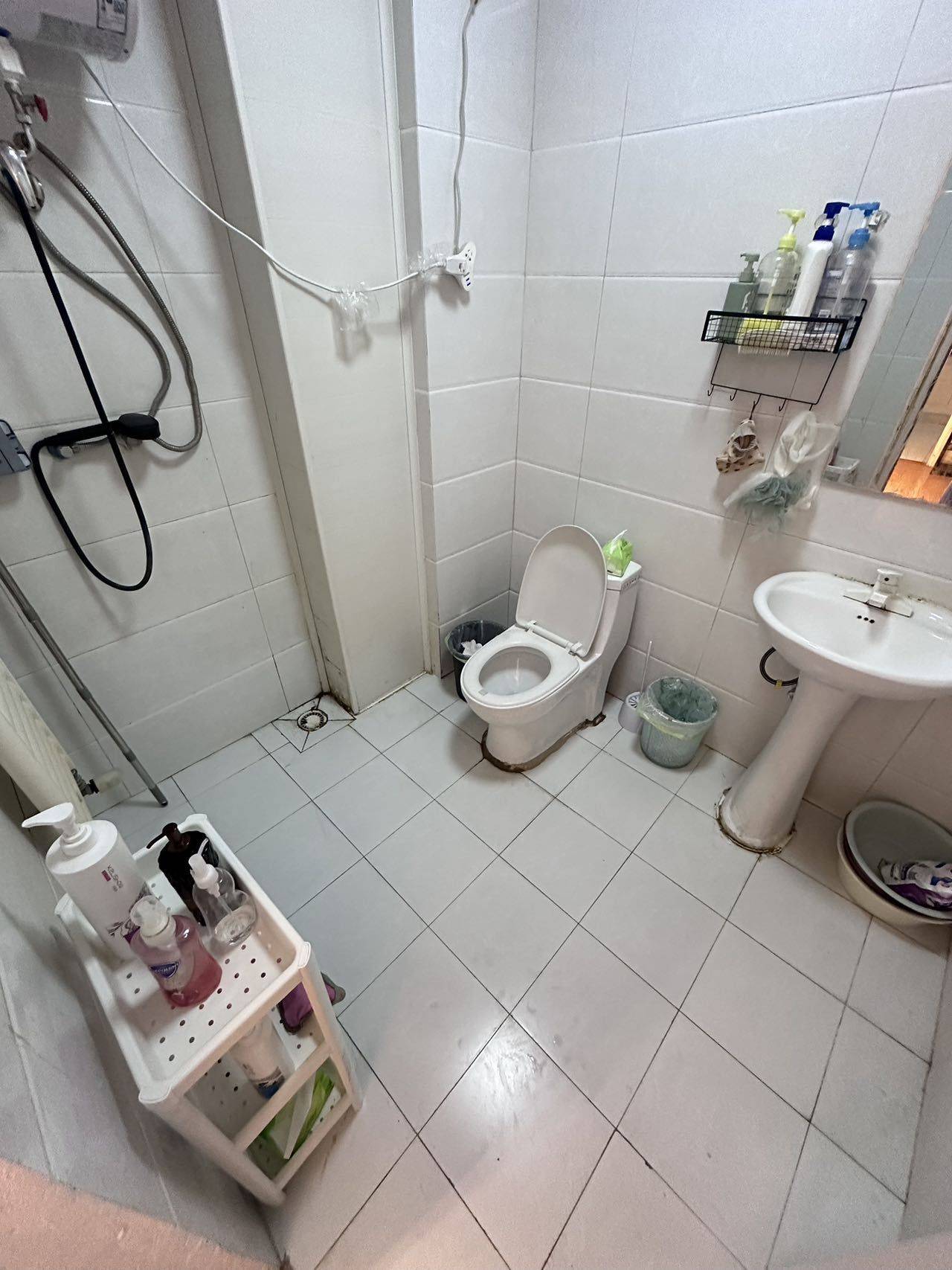 石家庄-长安-温馨小窝,干净治愈,不限性别,市井烟火气,老友记,慢时光,LGBTQ友好,宠物友好