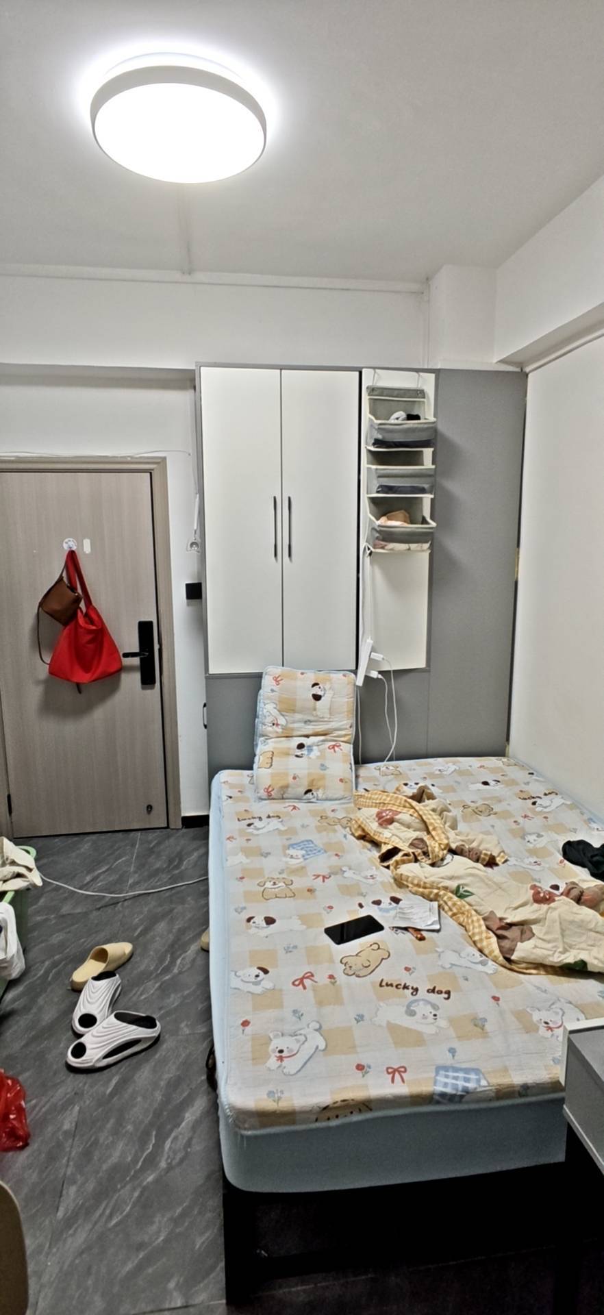 Shenzhen-BaoAn-Pet Friendly