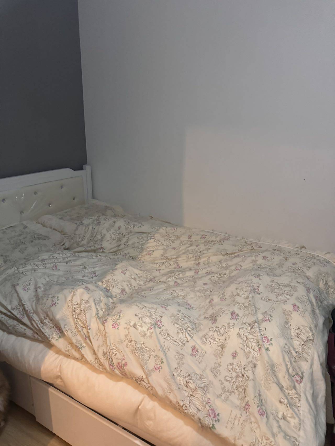 Beijing-Chaoyang-Cozy Home,Clean&Comfy,No Gender Limit,Hustle & Bustle,“Friends”,Chilled