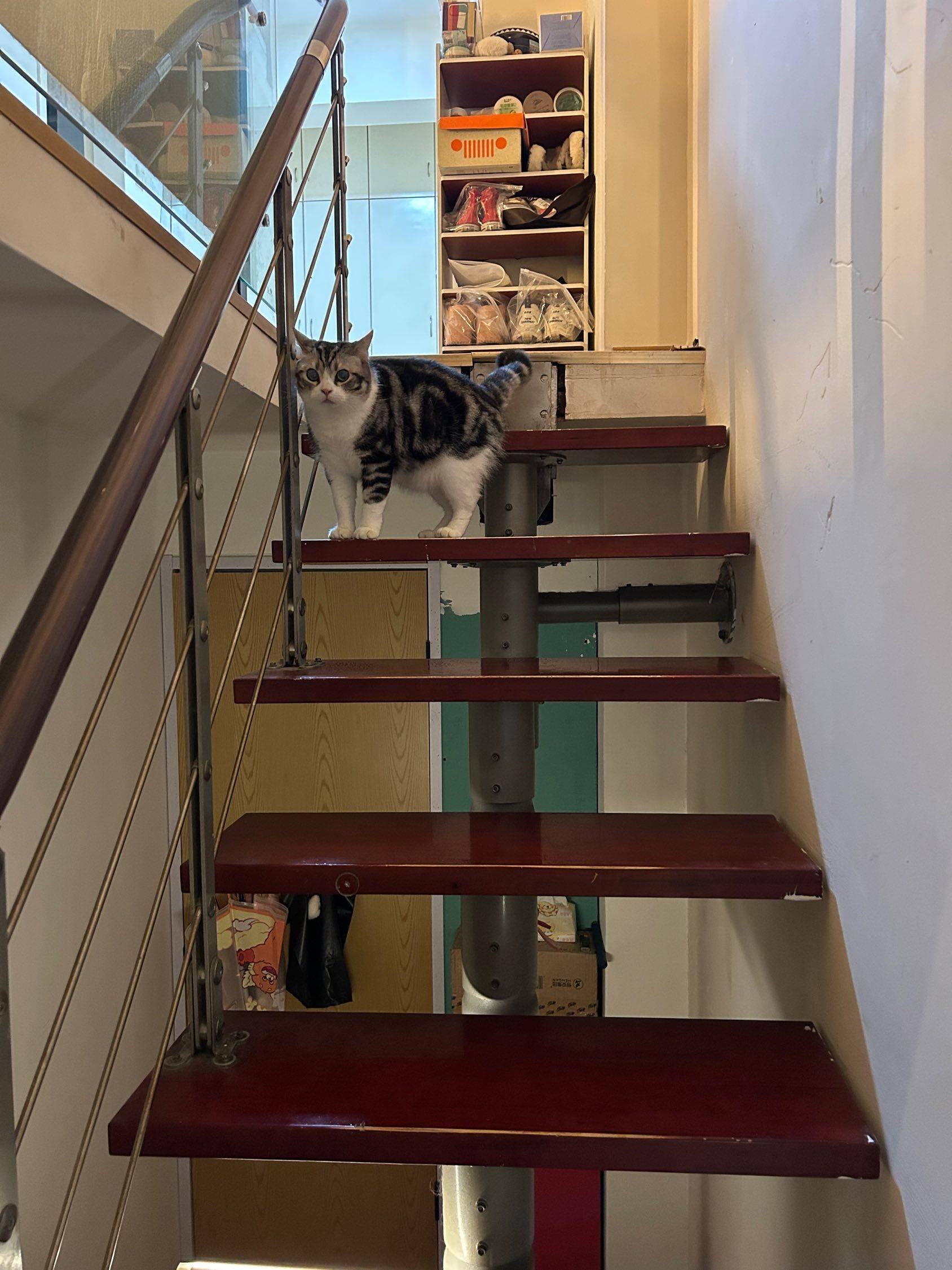 西安-雁塔-溫馨小窩,乾淨治愈,不限性別,市井煙火氣,慢時光,寵物友好