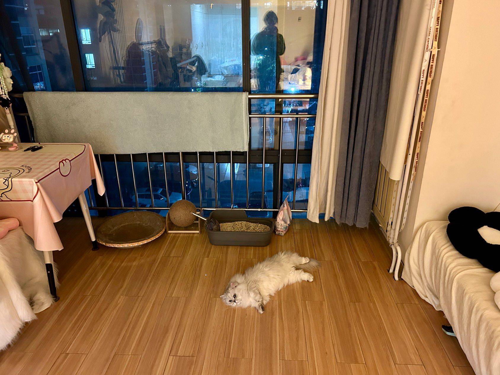 西安-雁塔-溫馨小窩,乾淨治愈,不限性別,市井煙火氣,慢時光,寵物友好