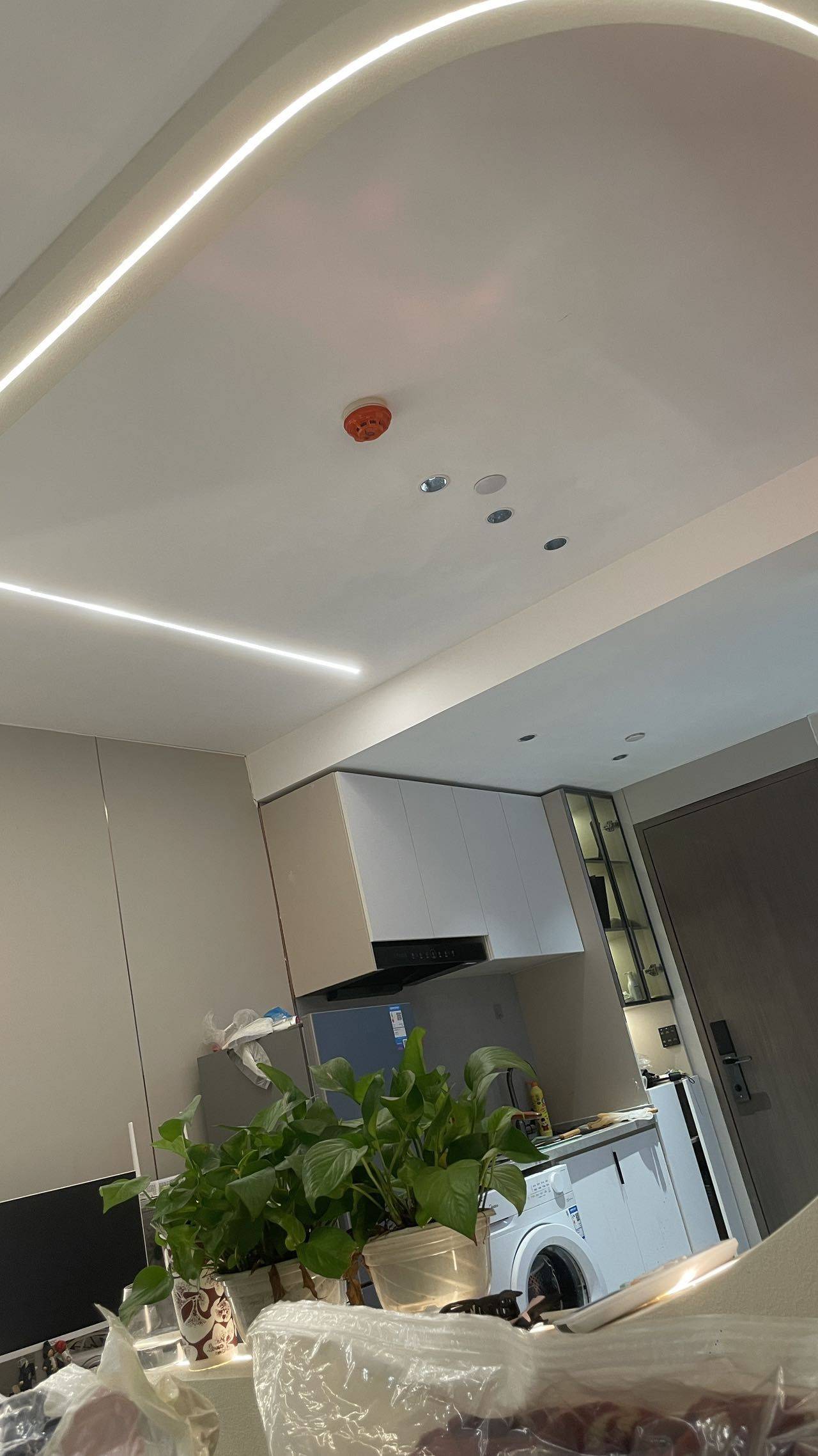 大脸猫整租房源3