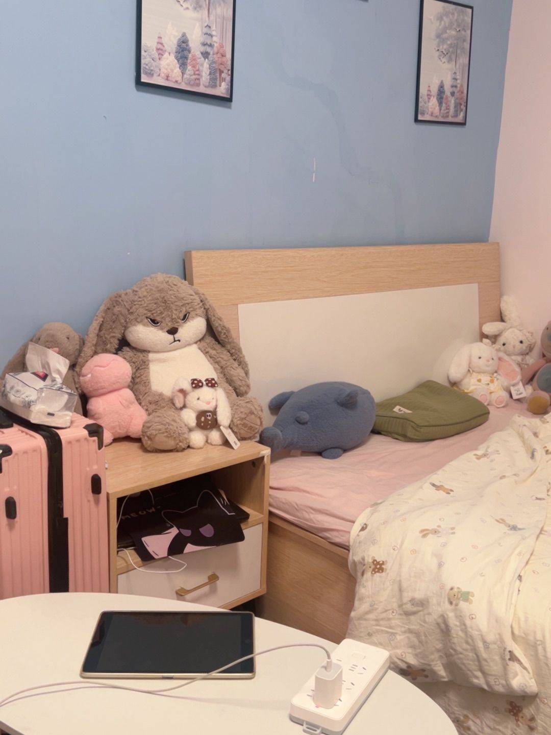 Tianjin-Beichen-Cozy Home,Clean&Comfy,No Gender Limit