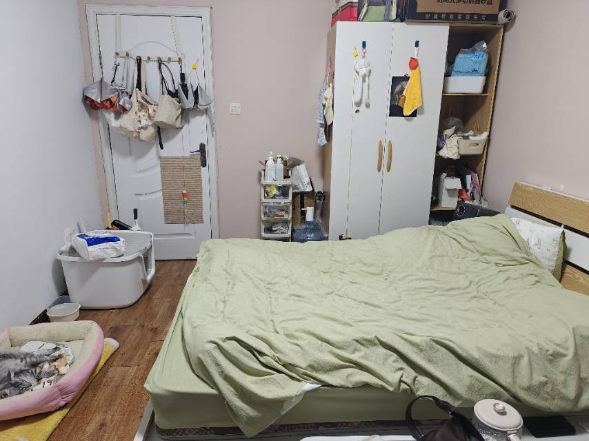 Chengdu-Shuangliu-Cozy Home,Pet Friendly