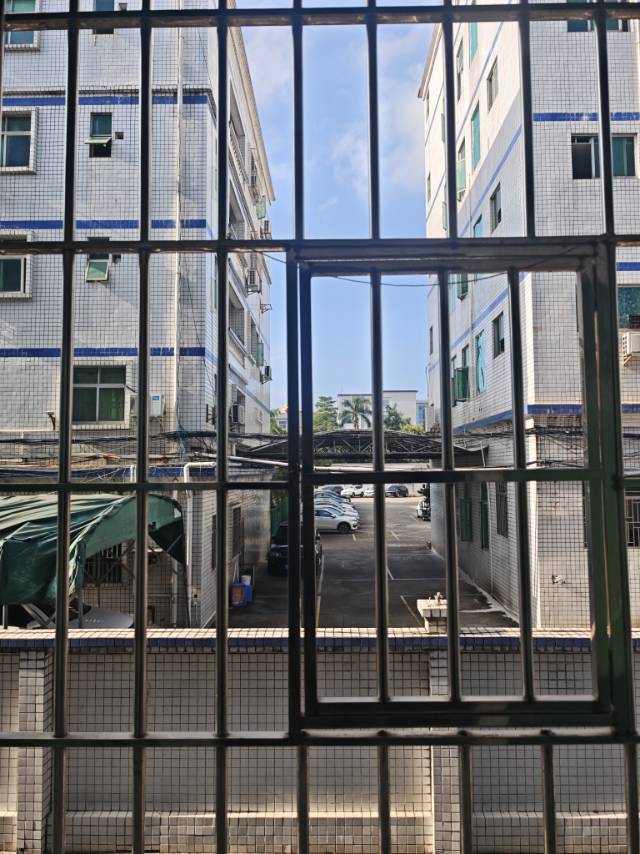 深圳-龍崗-安全