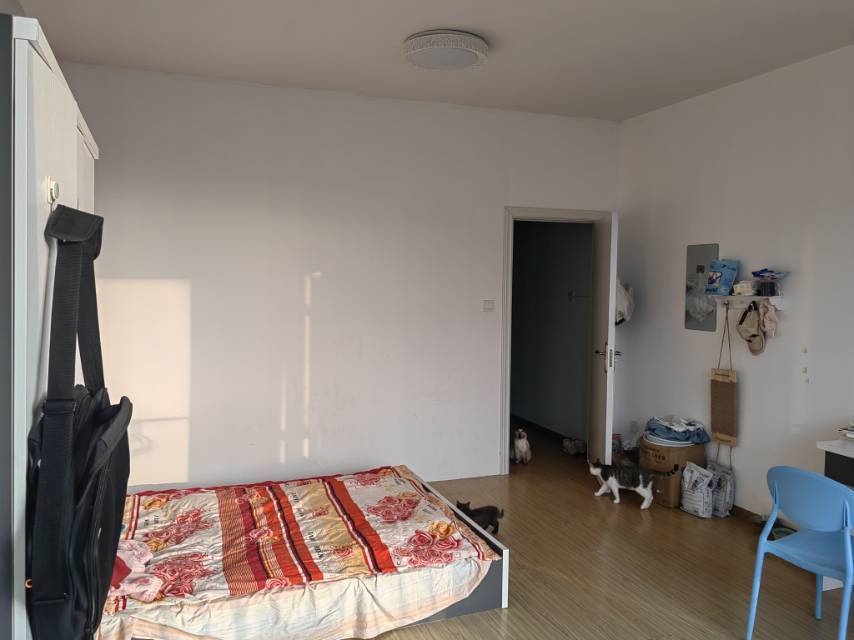 Kunming-Wuhua-Cozy Home,Clean&Comfy,No Gender Limit,Hustle & Bustle,“Friends”,Chilled,LGBTQ Friendly,Pet Friendly