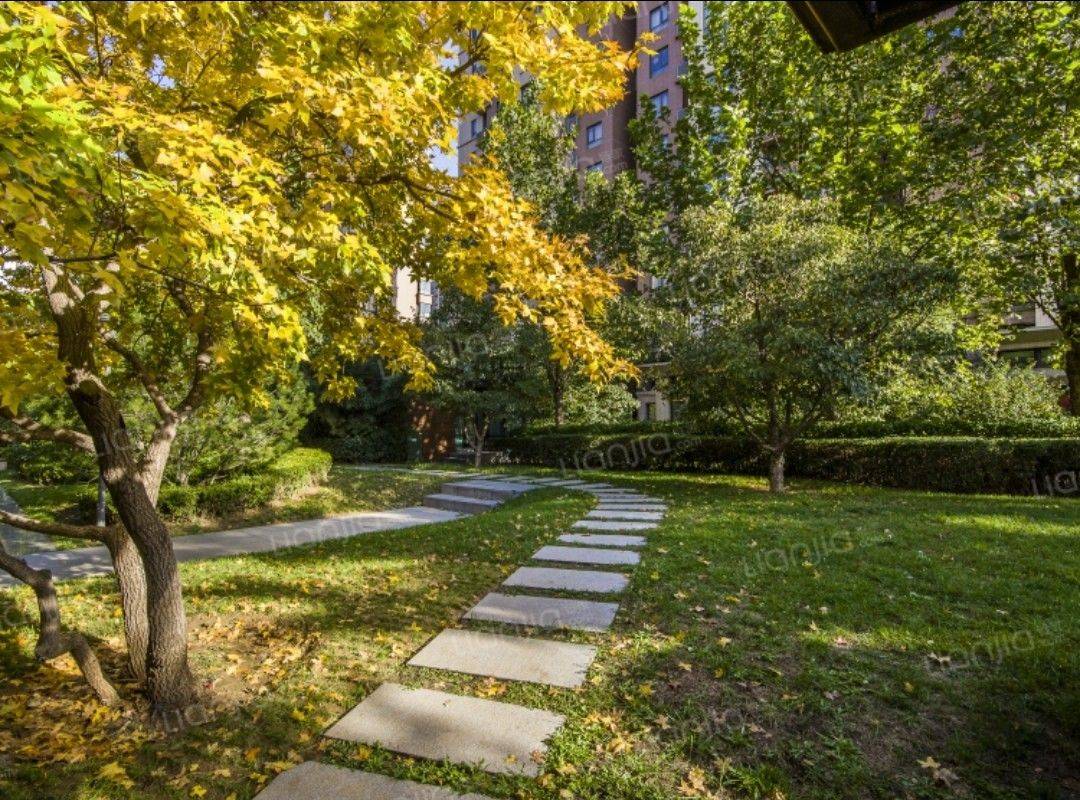 Beijing-Daxing-Cozy Home,Clean&Comfy,No Gender Limit,Hustle & Bustle