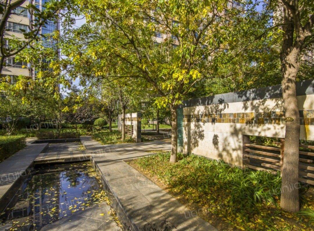 Beijing-Daxing-Cozy Home,Clean&Comfy,No Gender Limit,Hustle & Bustle