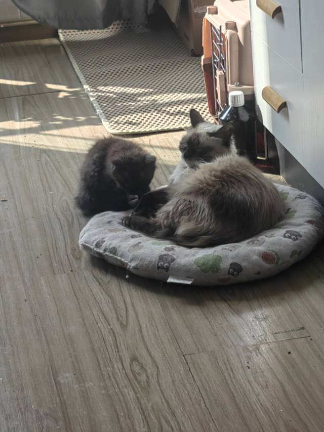 Kunming-Wuhua-Cozy Home,Clean&Comfy,No Gender Limit,Hustle & Bustle,“Friends”,Chilled,LGBTQ Friendly,Pet Friendly