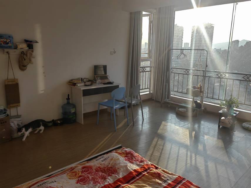 Kunming-Wuhua-Cozy Home,Clean&Comfy,No Gender Limit,Hustle & Bustle,“Friends”,Chilled,LGBTQ Friendly,Pet Friendly