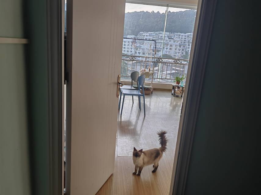 Kunming-Wuhua-Cozy Home,Clean&Comfy,No Gender Limit,Hustle & Bustle,“Friends”,Chilled,LGBTQ Friendly,Pet Friendly