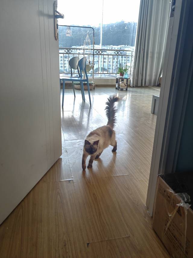 Kunming-Wuhua-Cozy Home,Clean&Comfy,No Gender Limit,Hustle & Bustle,“Friends”,Chilled,LGBTQ Friendly,Pet Friendly