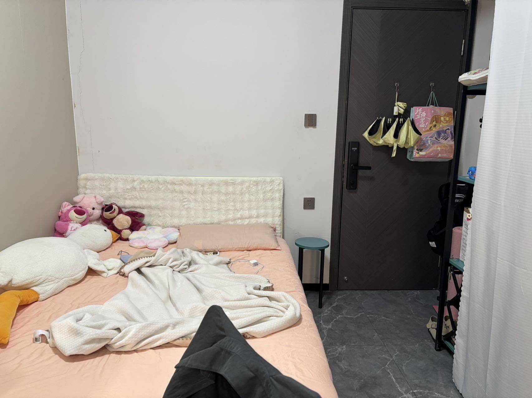 Shenzhen-BaoAn-Cozy Home,Clean&Comfy,No Gender Limit,Pet Friendly