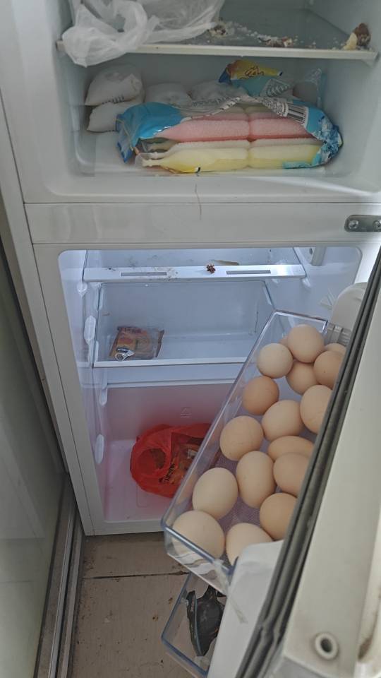 Hefei-Baohe-Cozy Home,Clean&Comfy,No Gender Limit