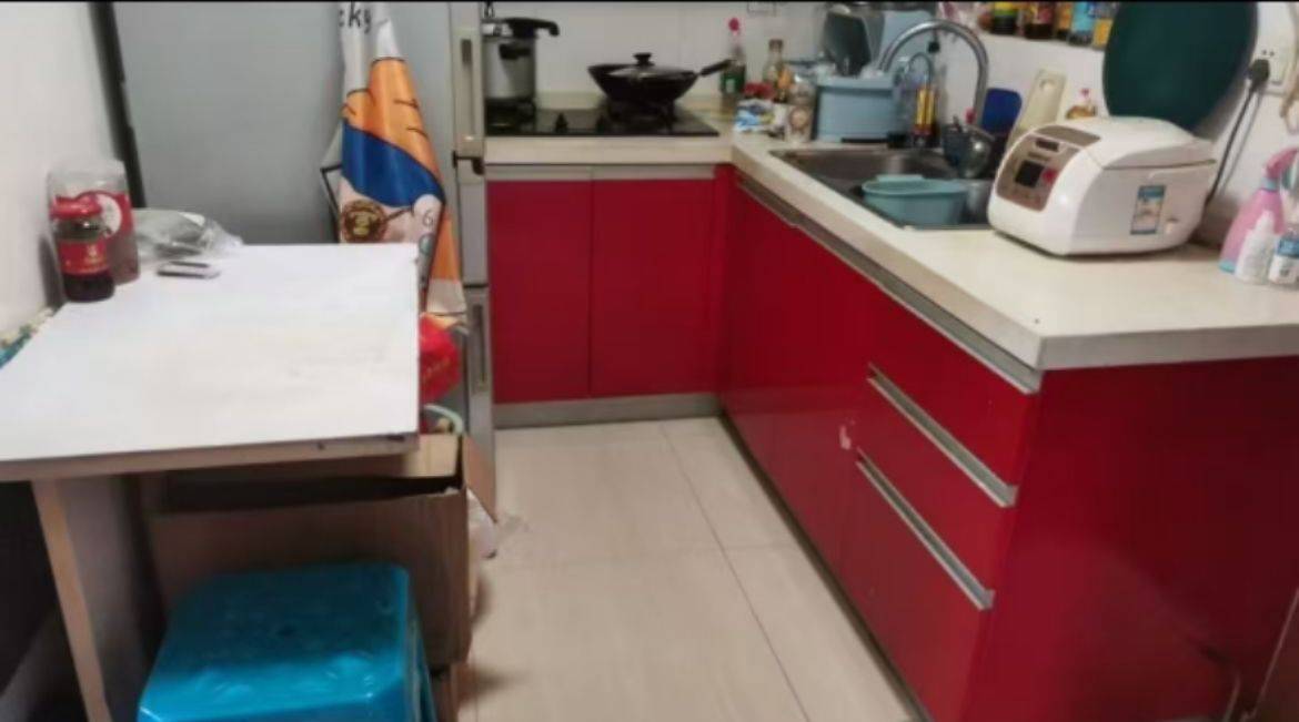 Shanghai-Jing‘An-Cozy Home,Clean&Comfy,No Gender Limit,Hustle & Bustle,“Friends”,Chilled,LGBTQ Friendly,Pet Friendly