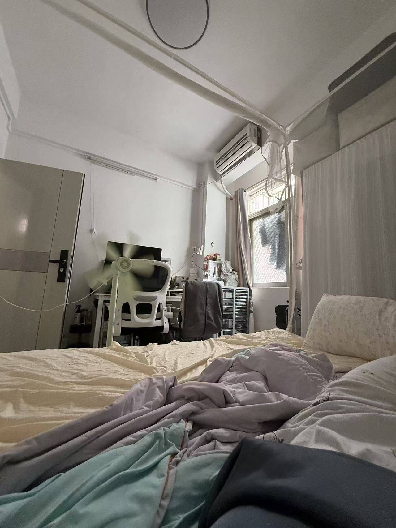 Guangzhou-Baiyun-Pet Friendly