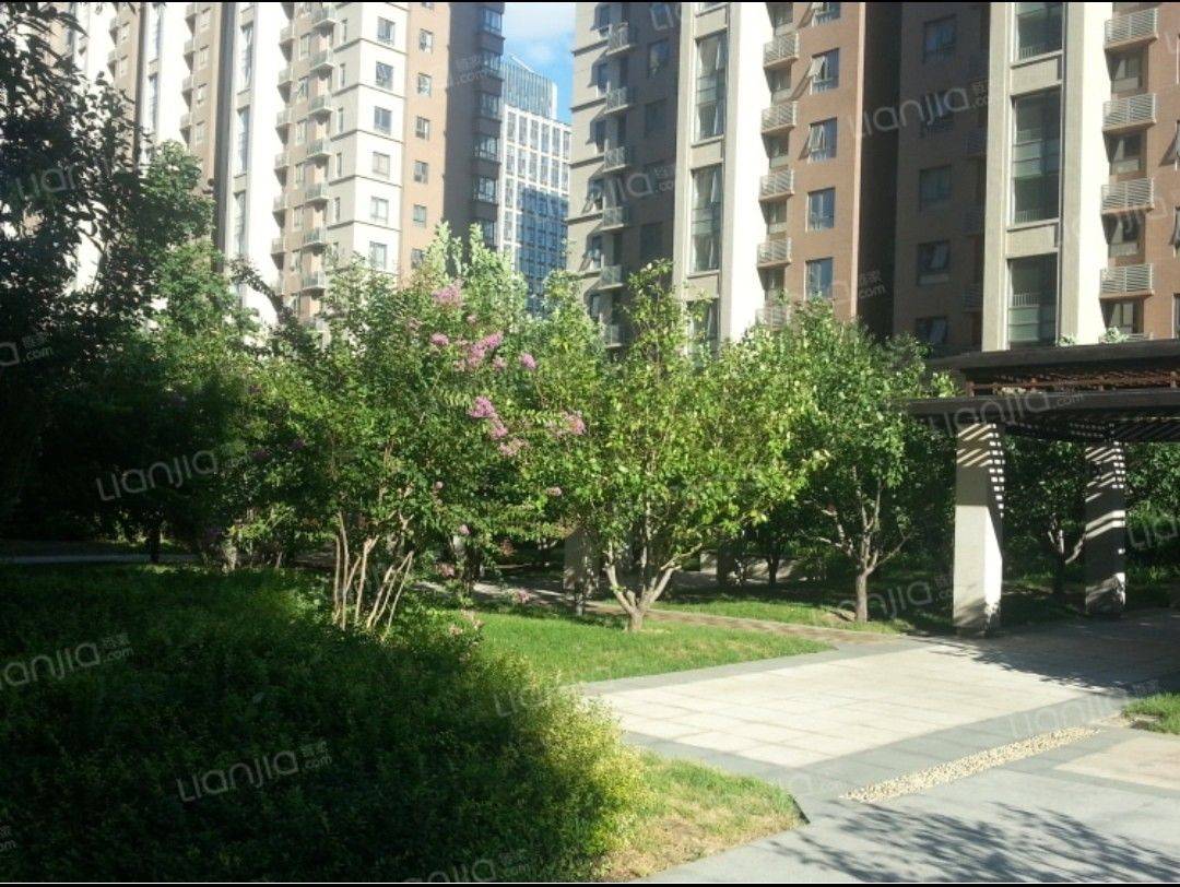 Beijing-Daxing-Cozy Home,Clean&Comfy,No Gender Limit,Hustle & Bustle