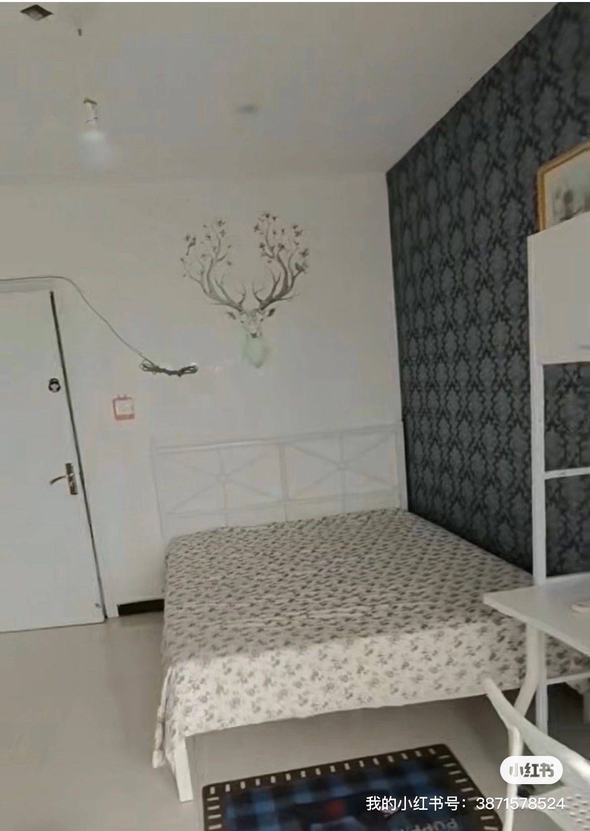 Beijing-Changping-Cozy Home,Clean&Comfy,No Gender Limit,Hustle & Bustle,Chilled,Pet Friendly