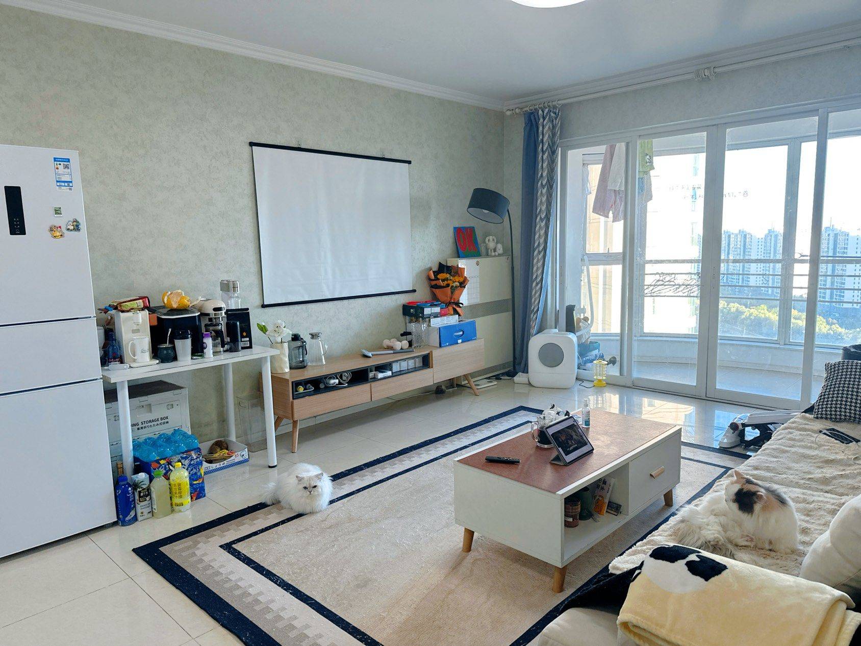 Beijing-Chaoyang-Cozy Home,Clean&Comfy,No Gender Limit,Hustle & Bustle,“Friends”,Chilled,LGBTQ Friendly,Pet Friendly