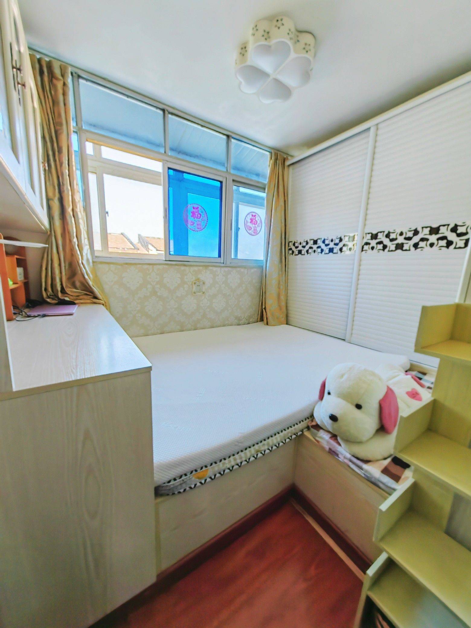 北京-朝陽-乾淨治愈,不限性別