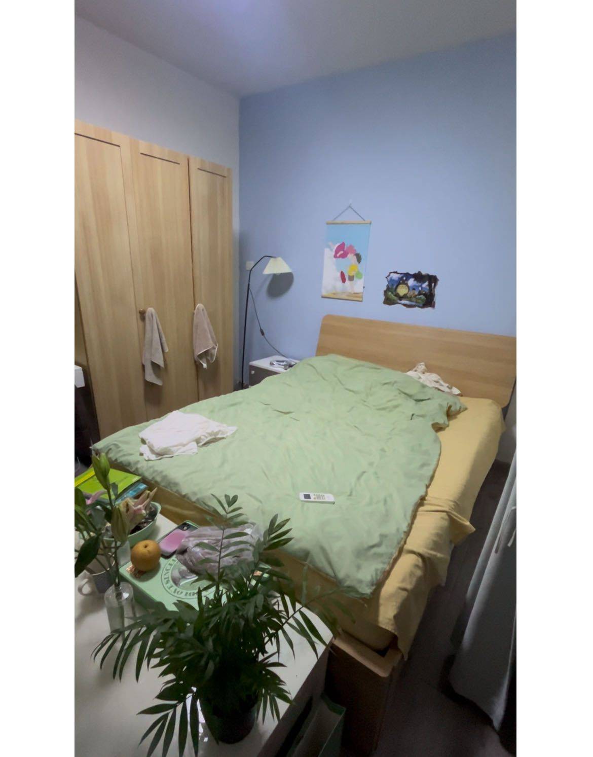 Chengdu-Shuangliu-Cozy Home,Clean&Comfy