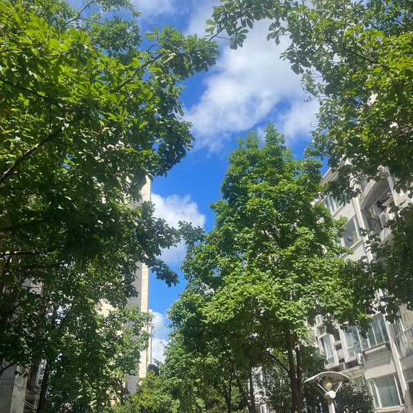 搬砖小蜜蜂整租房源3