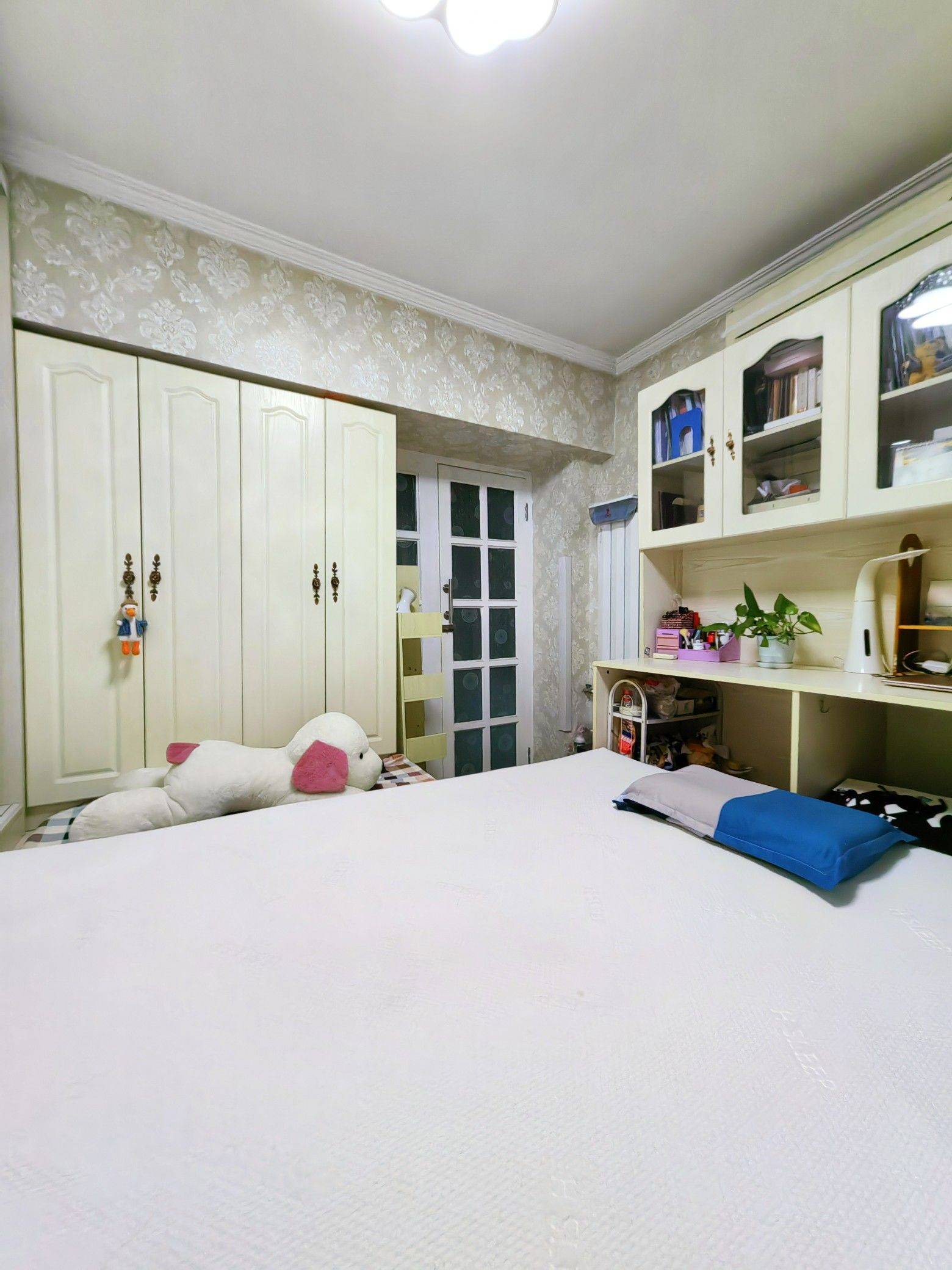 北京-朝陽-乾淨治愈,不限性別