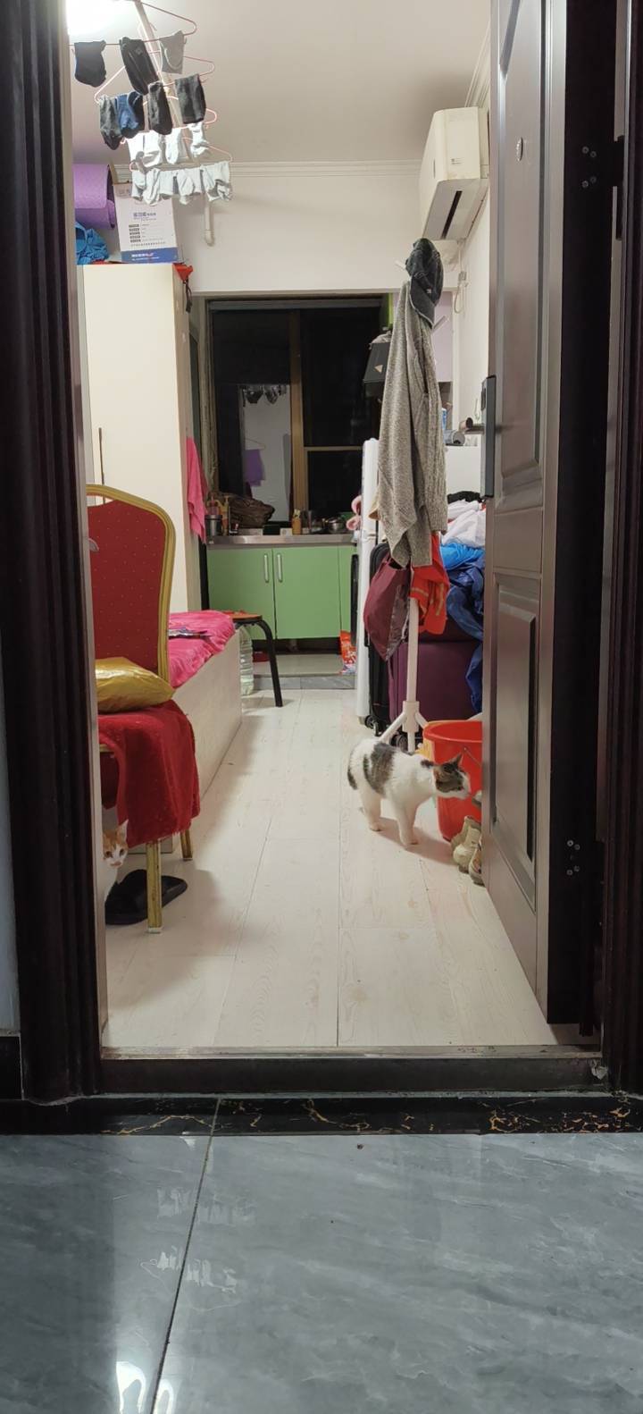 Beijing-Changping-Cozy Home,No Gender Limit,Pet Friendly