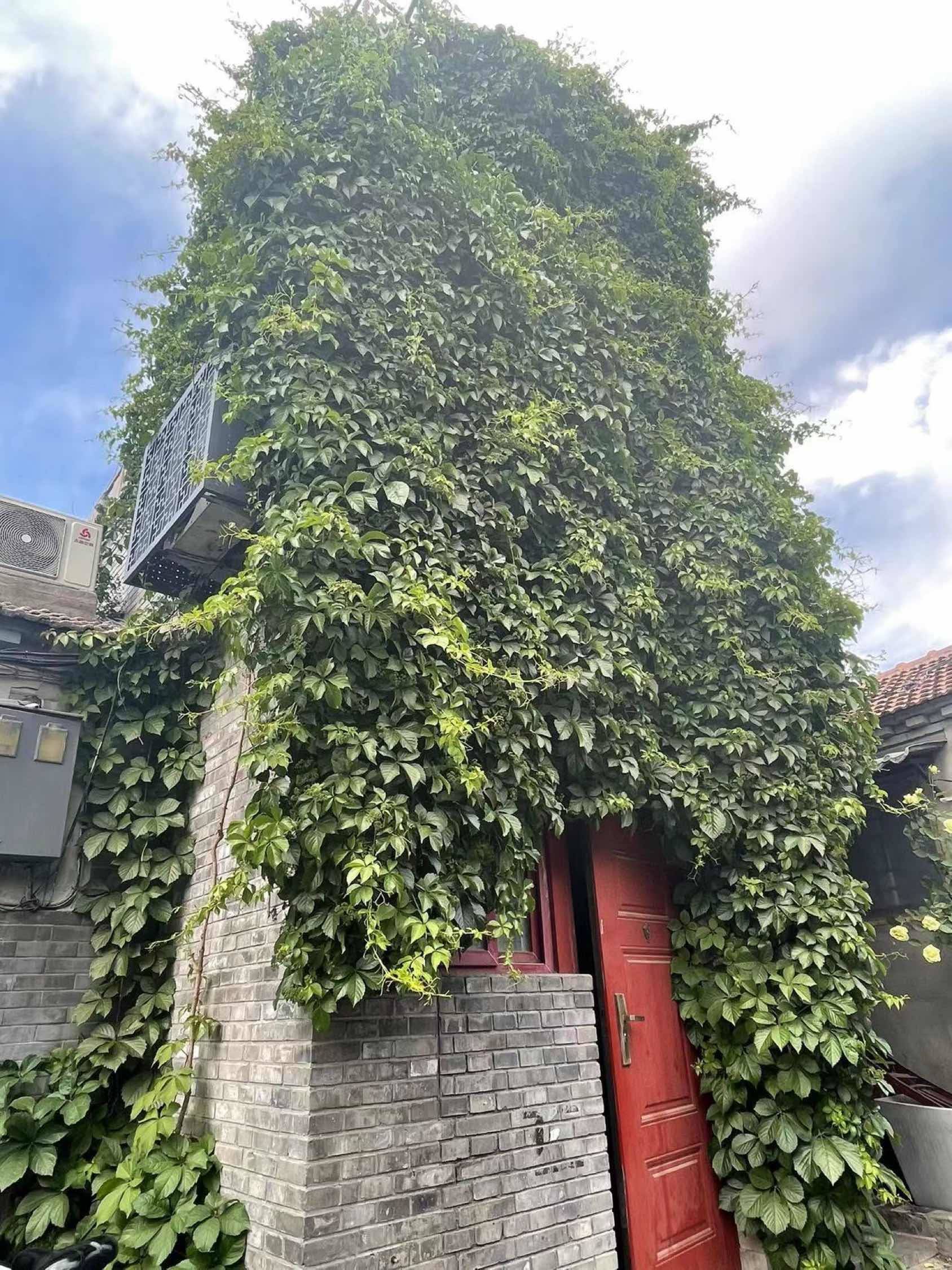 Beijing-Dongcheng-Clean&Comfy,“Friends”,LGBTQ Friendly,Pet Friendly