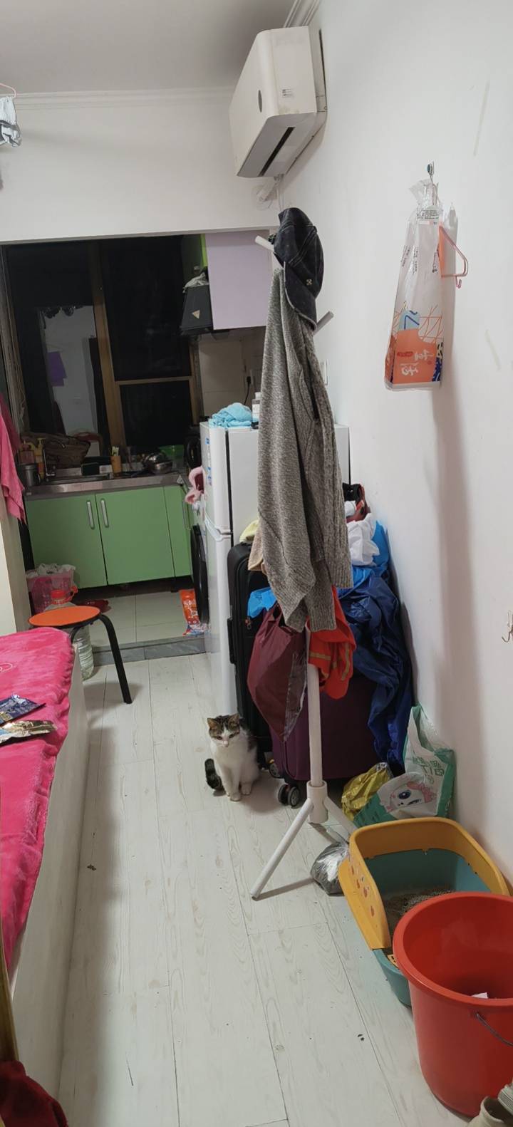 Beijing-Changping-Cozy Home,No Gender Limit,Pet Friendly
