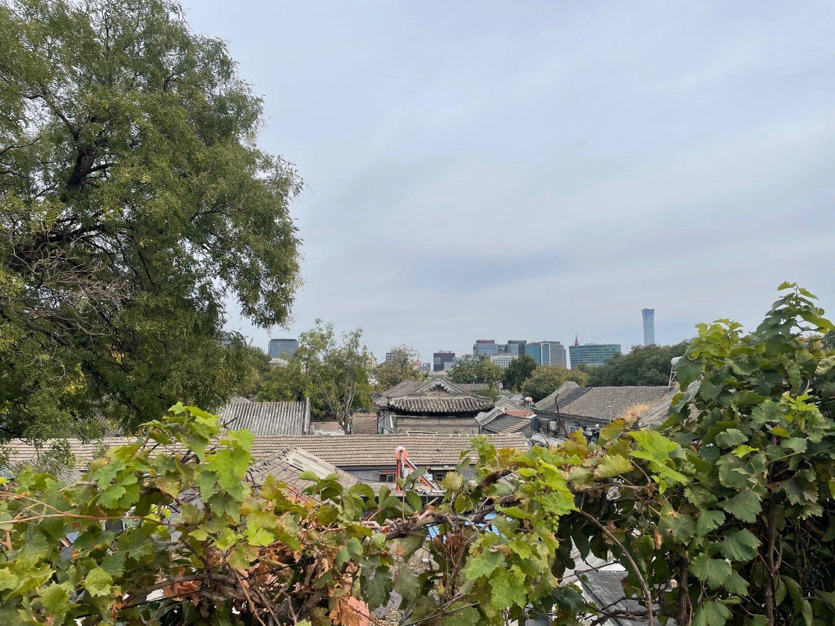 Beijing-Dongcheng-Clean&Comfy,“Friends”,LGBTQ Friendly,Pet Friendly