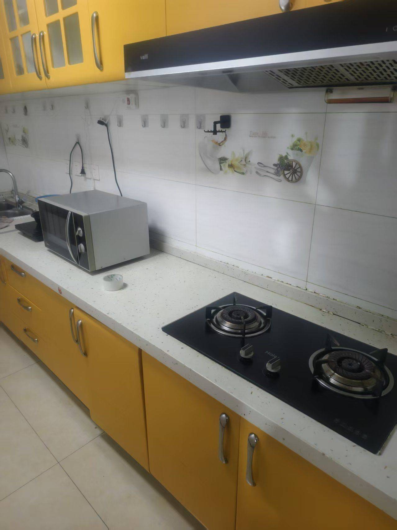 Beijing-Chaoyang-Wangjing,Replacement,Pet Friendly,Shared Apartment,Sublet,LGBTQ Friendly