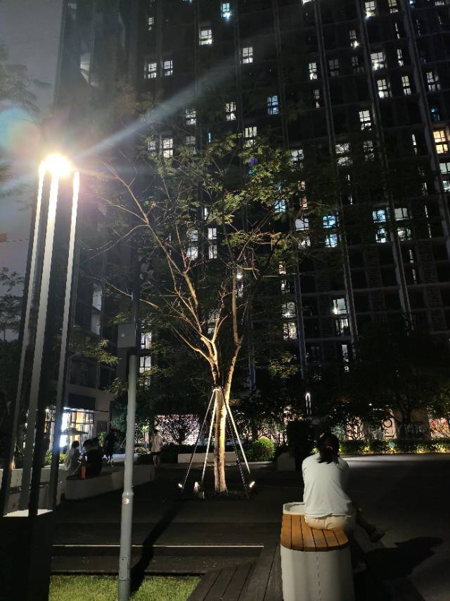 Shenzhen-Longhua-Cozy Home,No Gender Limit