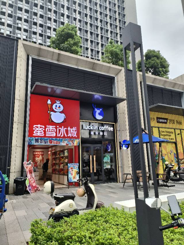 Shenzhen-Longhua-Cozy Home,No Gender Limit